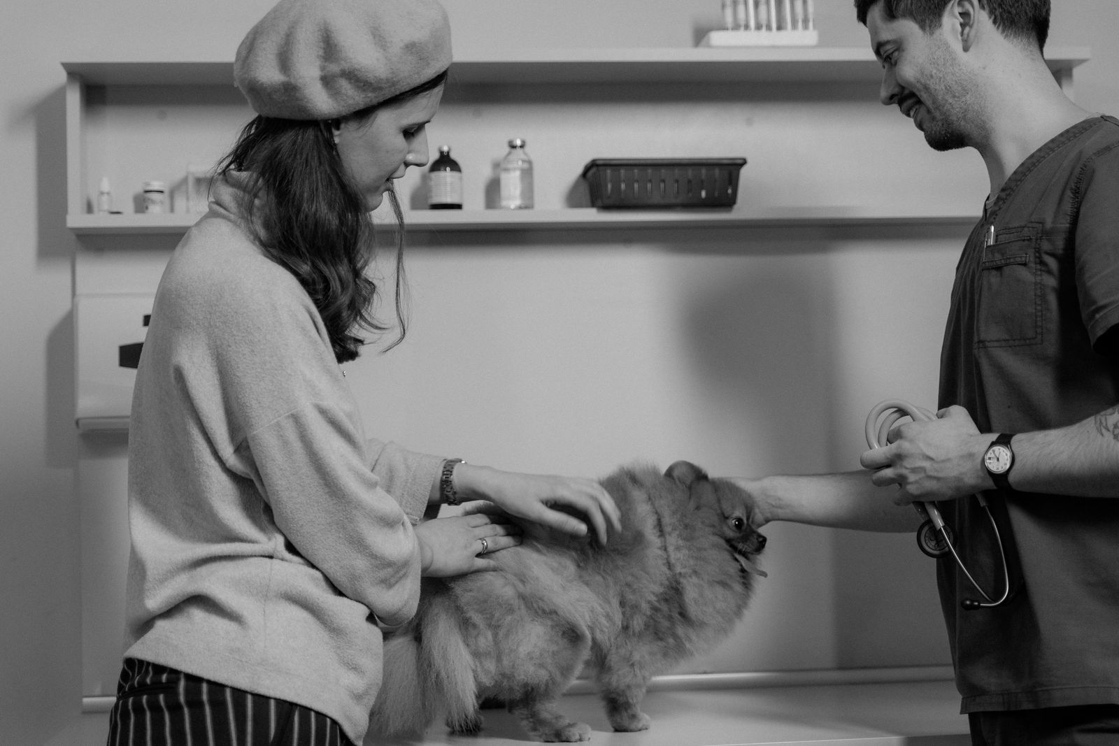 Atenció veterinària a la clínica Vic Veterinaris