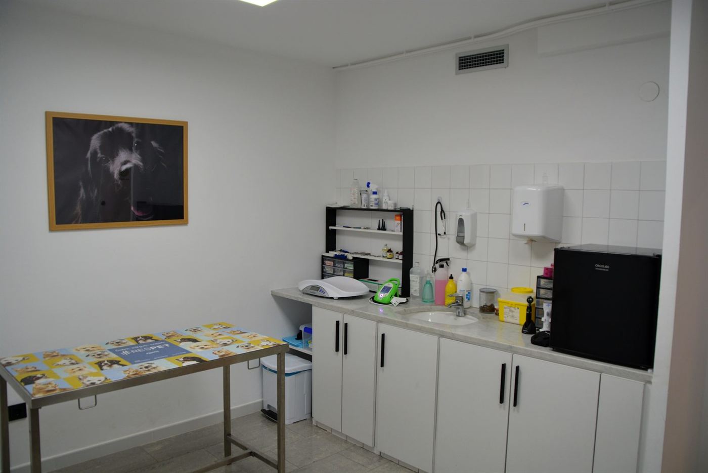 Consulta de Vic Veterinaris amb bàscula i material d'exploració