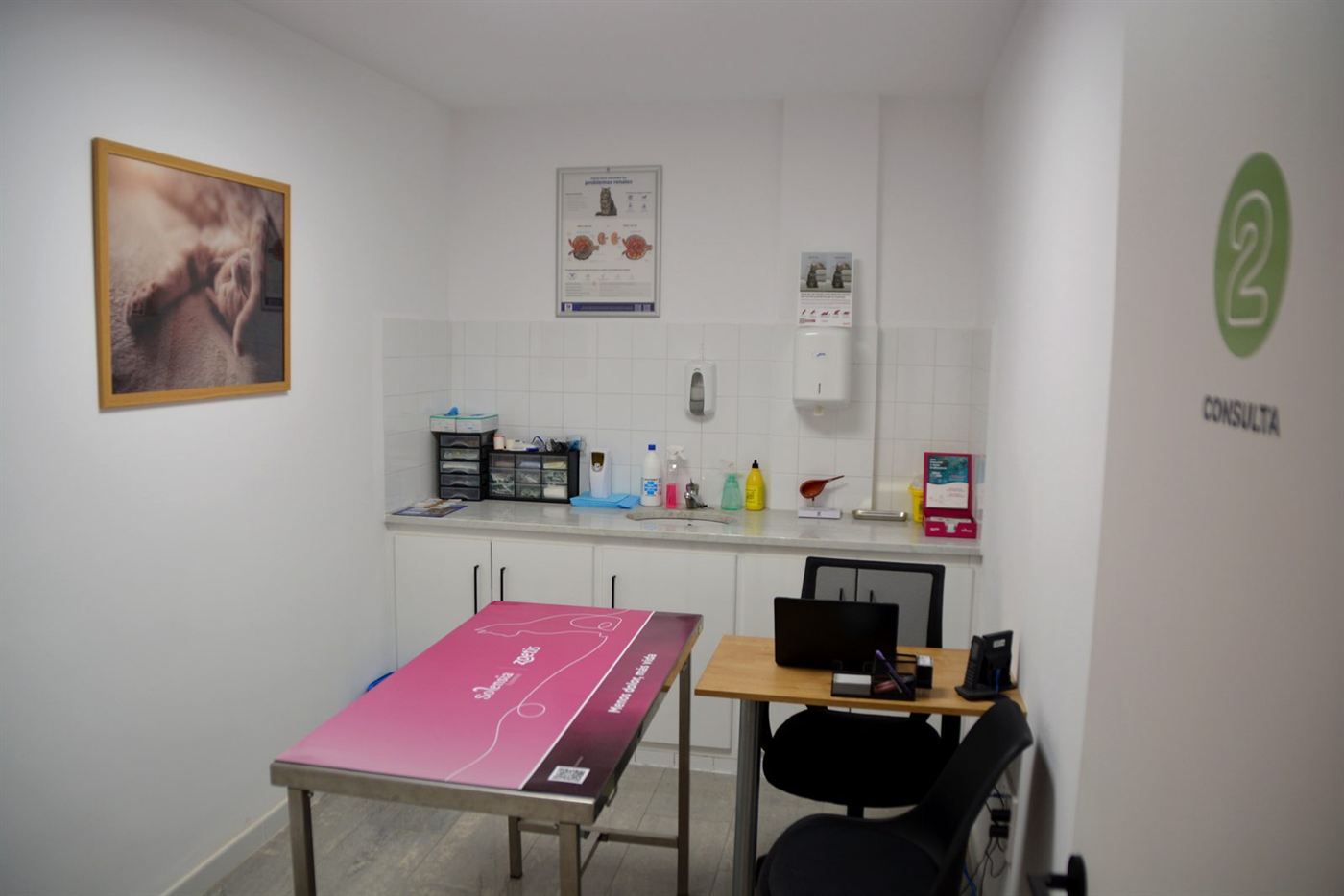 Consulta 2 de Vic Veterinaris amb taula d'exploració