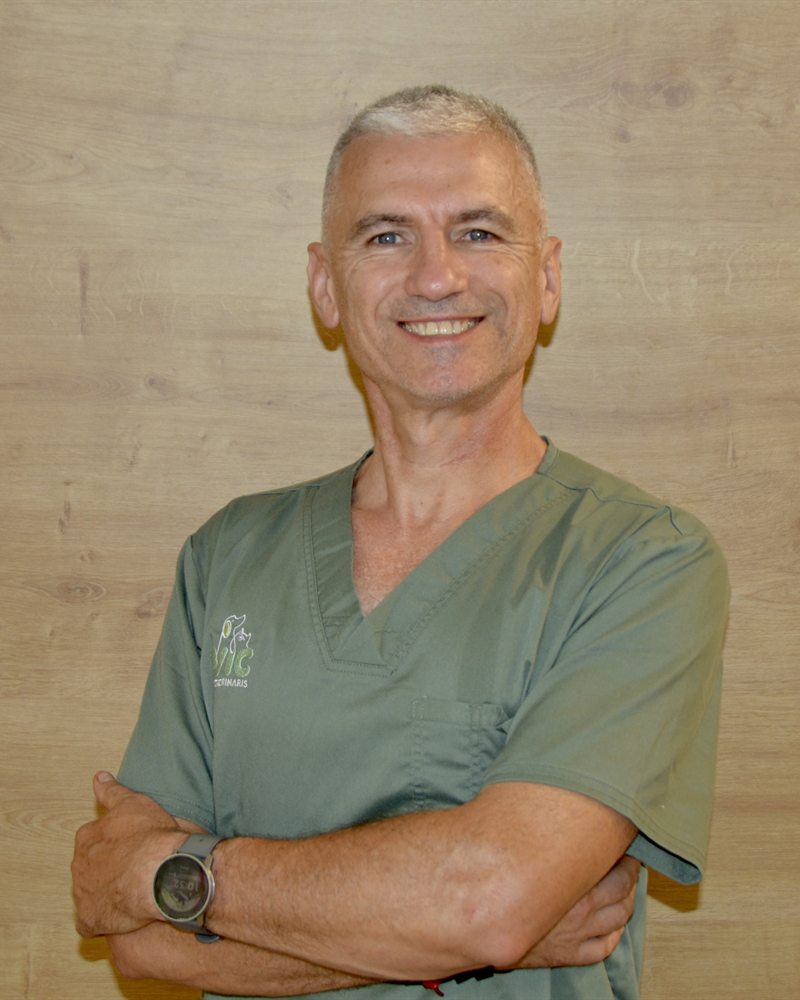 Albert, veterinari de Vic Veterinaris